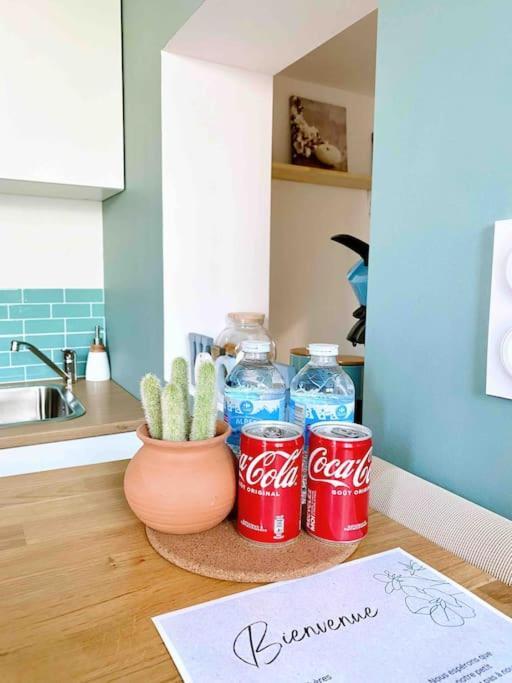 Appartement T2 Icade Adp Orly Lenotre Jmonnet Jmermoz Rungis